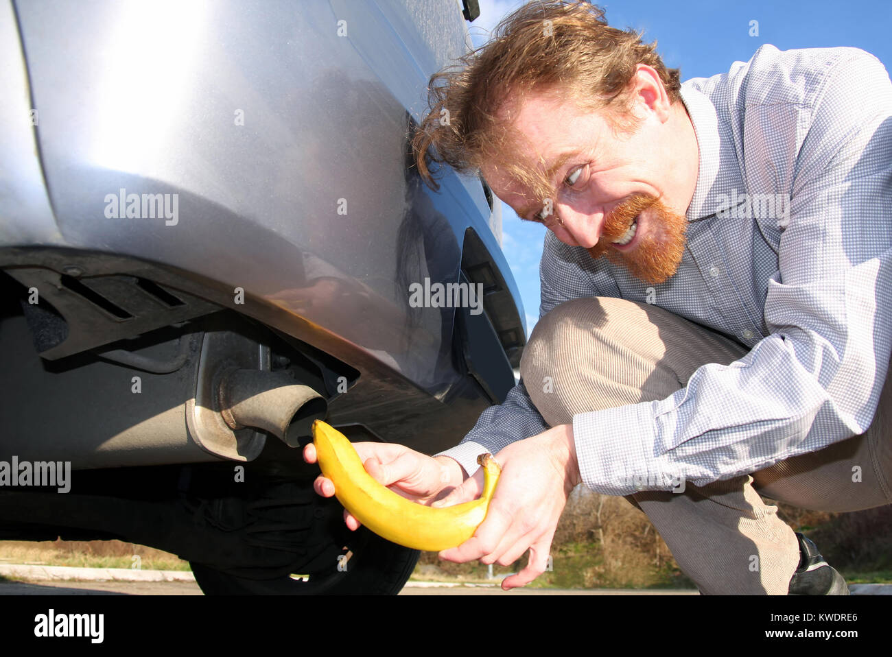 Man putting banana into car exhaust pipe Stock Photo Alamy