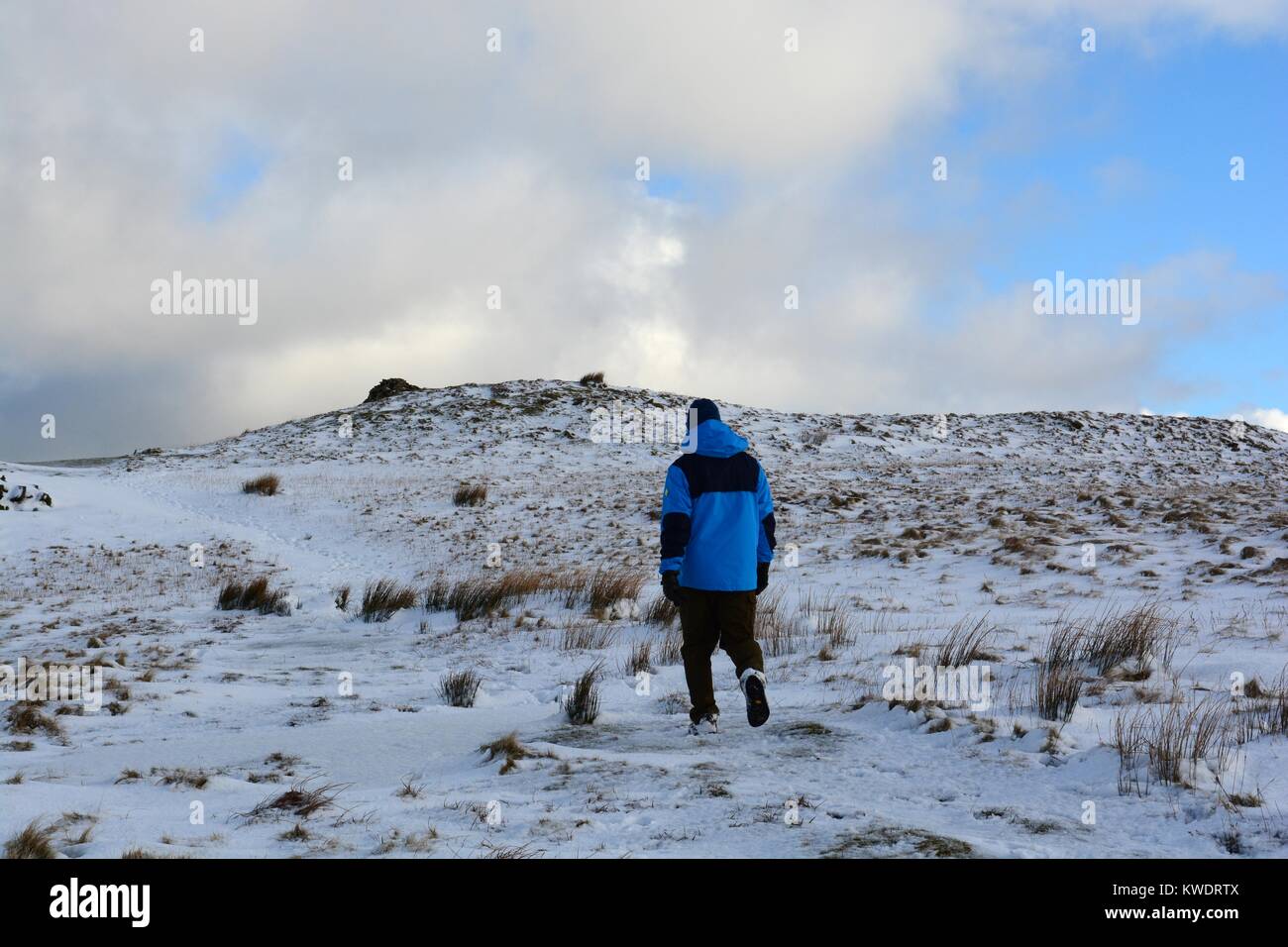 Preseli hills man walking through snow towards Foel Feddau in winter