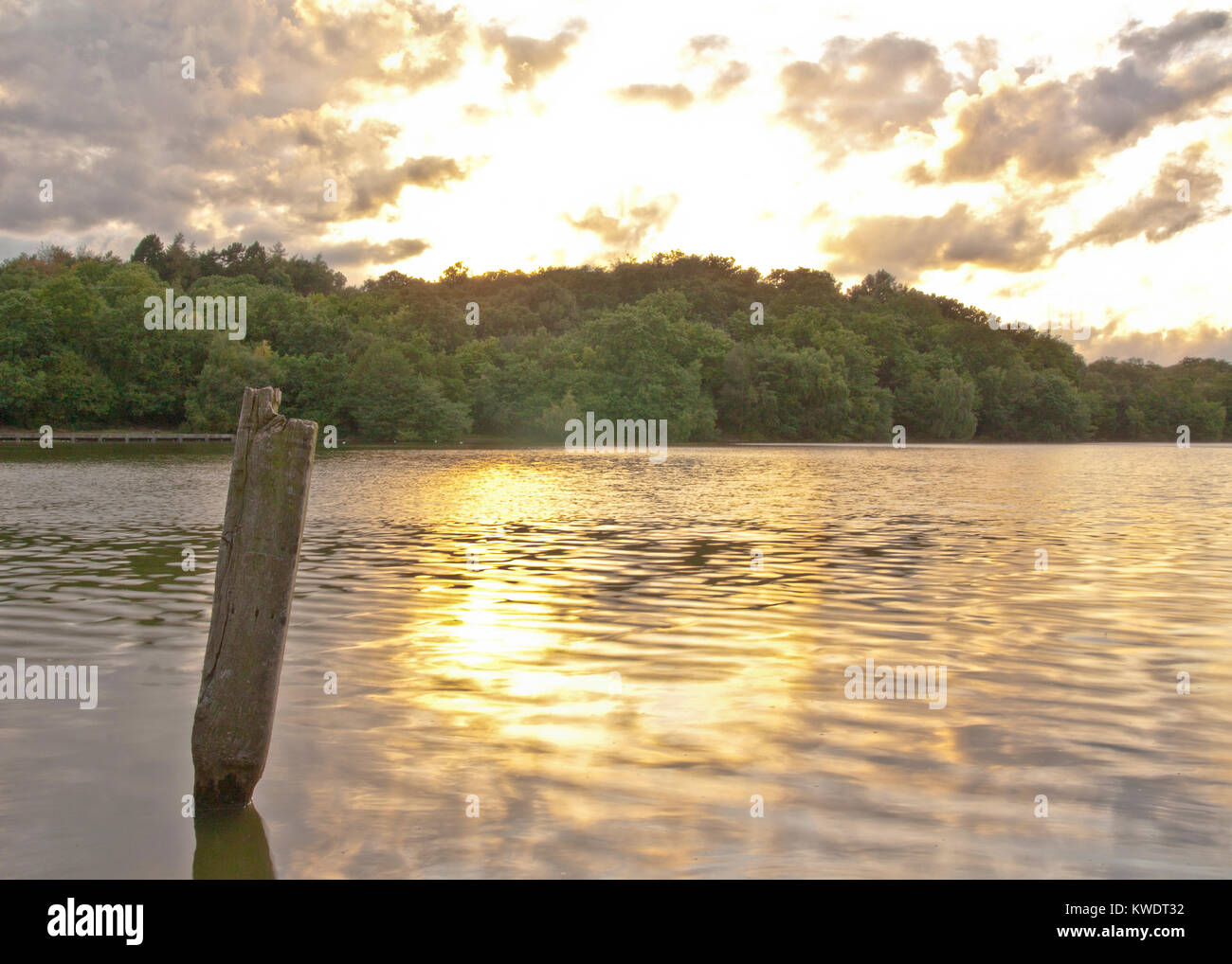 Sunset at Blackroot Pool, Sutton Park, Sutton Coldfield, Birmingham, UK