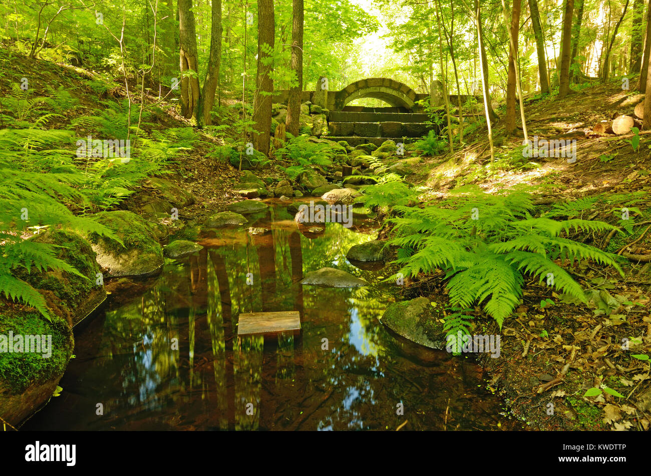 Fast flowing forest river hi-res stock photography and images - Alamy