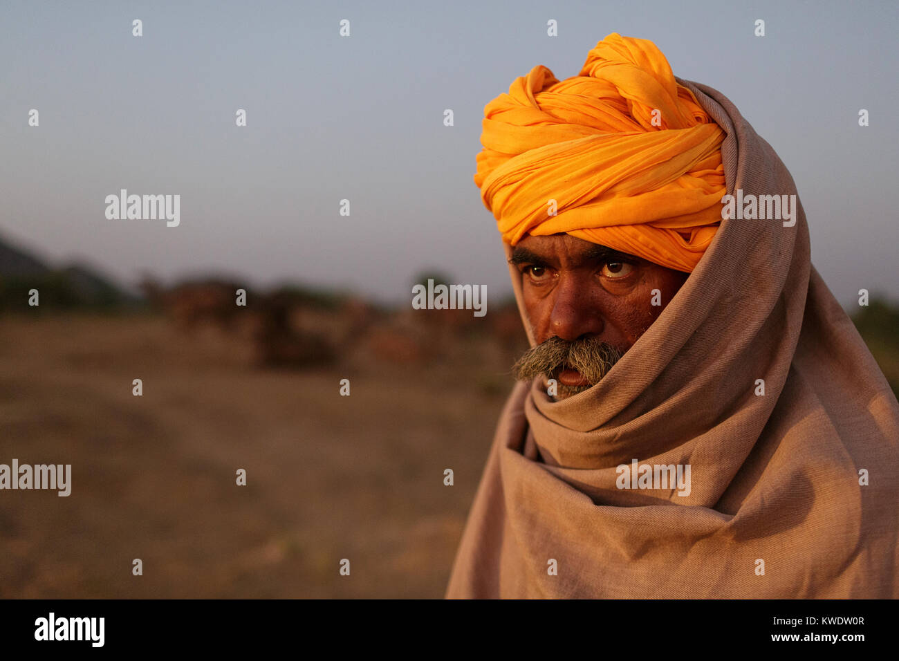 Scene at Pushkar Camel Fair, portrait of a trader wearing orange turban, covered with blanket, Pushkar, Rajasthan, India Stock Photo