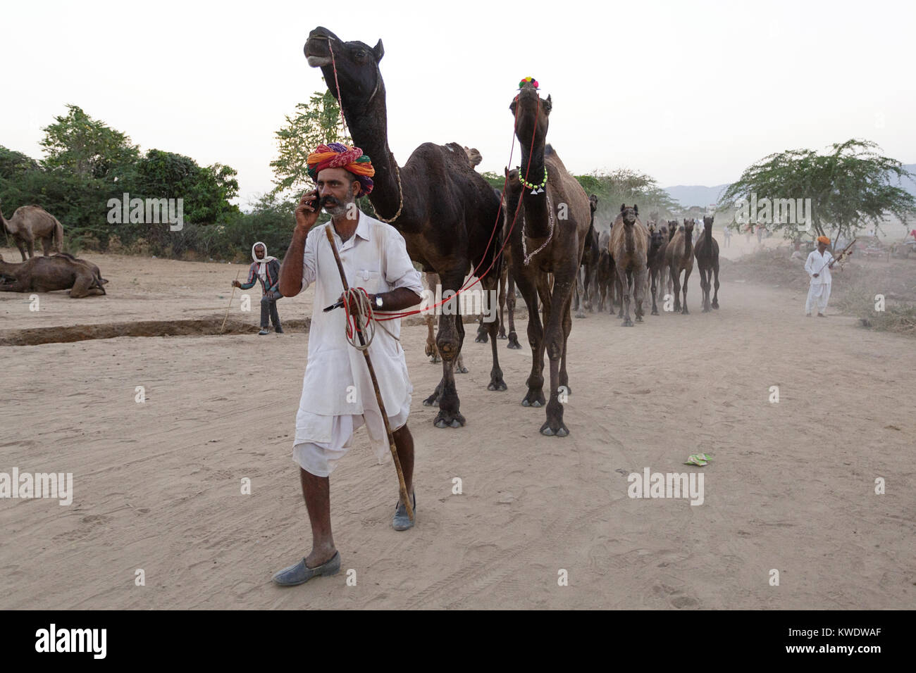 Trader wearing turbans and traditional clothing taking his herd of