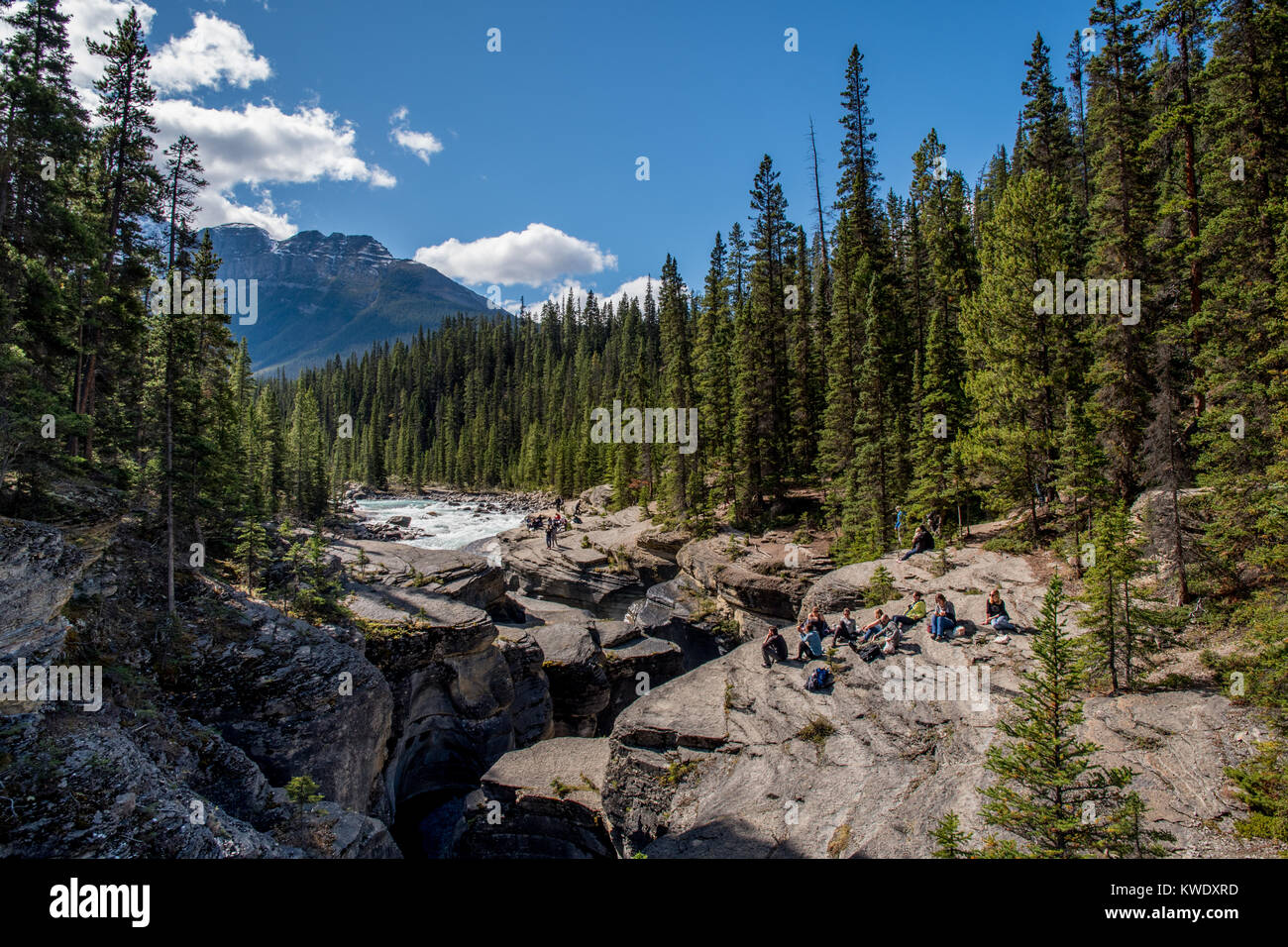 Canyon in Alberta mountains Stock Photo Alamy