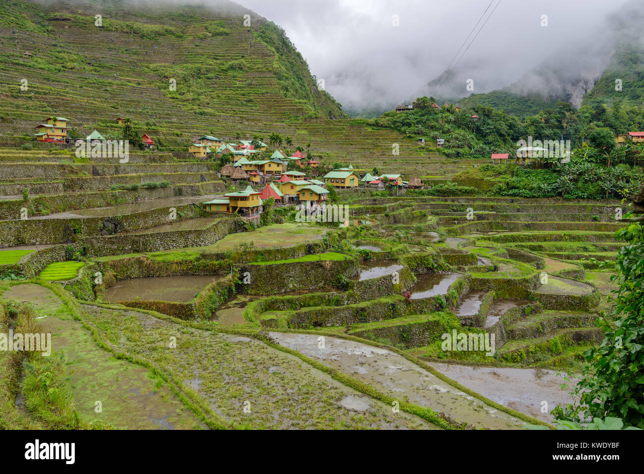 beautiful landscape Batad rice terrace in Banaue, Philippines Stock ...