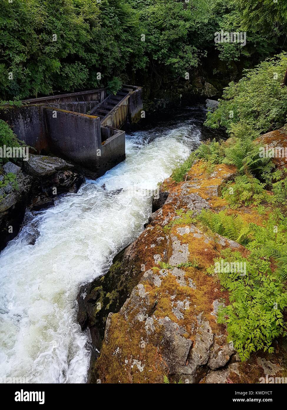 Fish Ladder in Ketchikan, Alaska Stock Photo - Alamy
