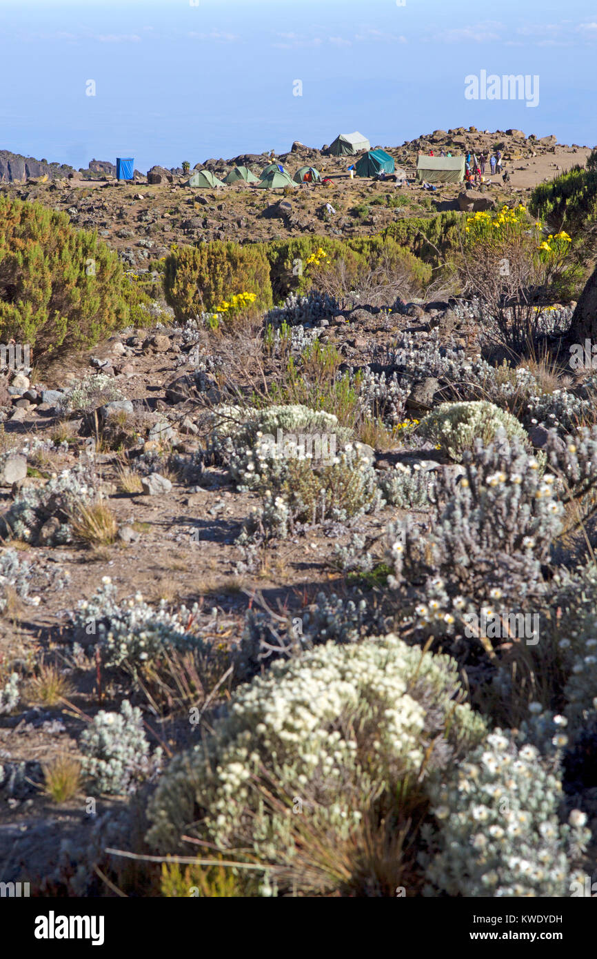 Barranco camp on Mt Kilimanjaro Stock Photo