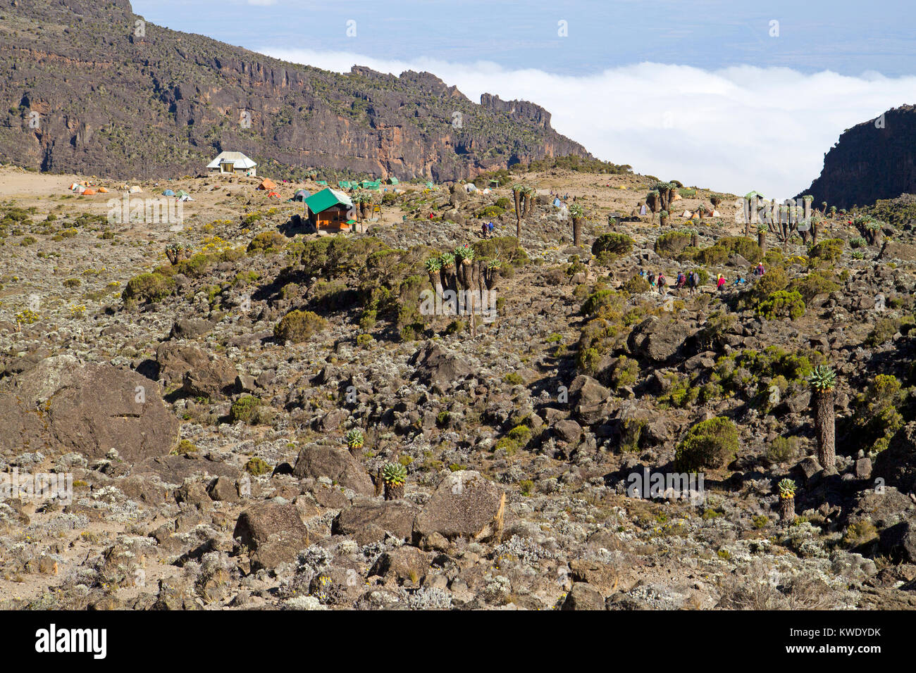 Barranco camp on Mt Kilimanjaro Stock Photo