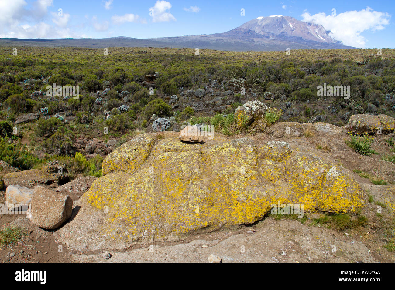 The Shira Plateau And The Summit Of Mt Kilimanjaro Stock Photo - Alamy