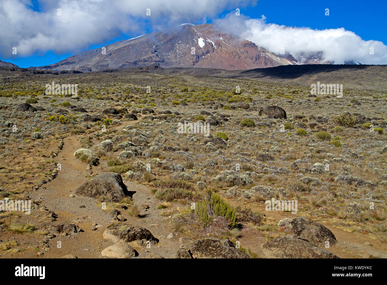 Trekking trail on Mt Kilimanjaro Stock Photo