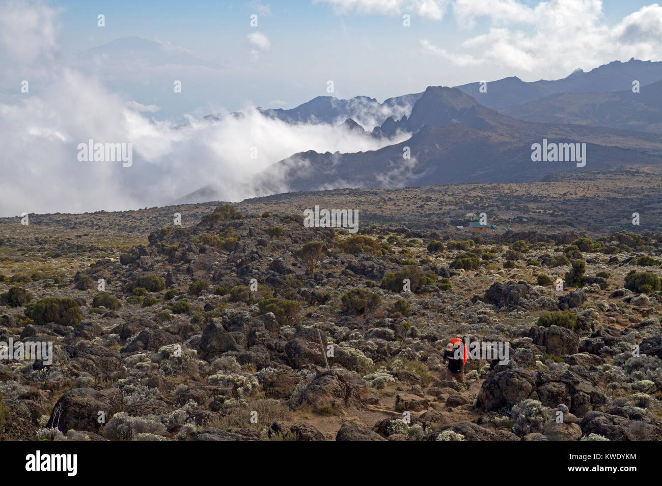 Trekker on the southern slopes of Mt Kilimanjaro Stock Photo
