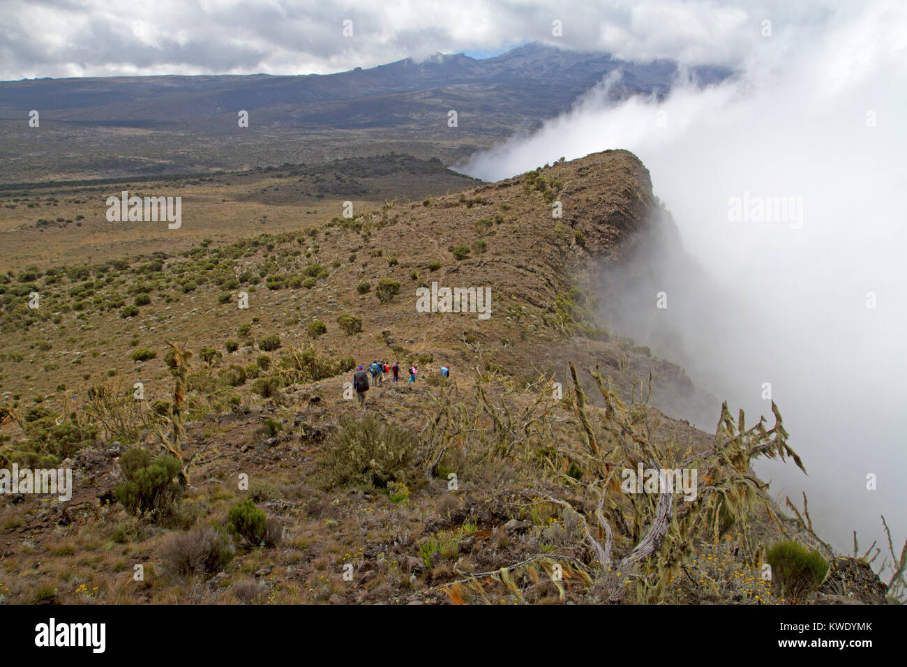 Trekkers on the southern slopes of Mt Kilimanjaro Stock Photo