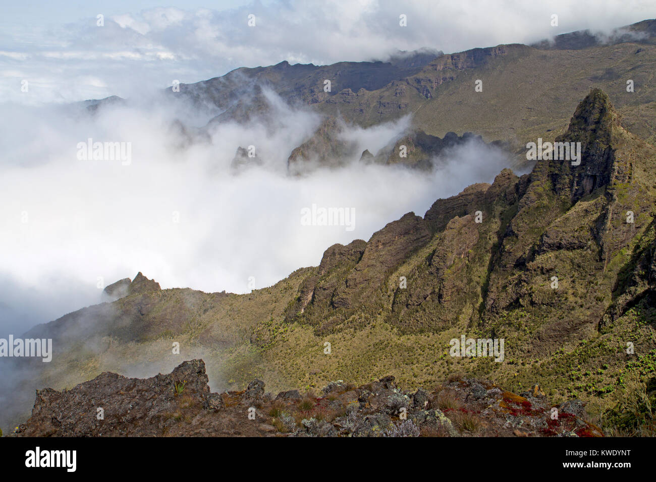 Cloud hitting the slopes of Mt Kilimanjaro at Shira Cathedral Stock Photo