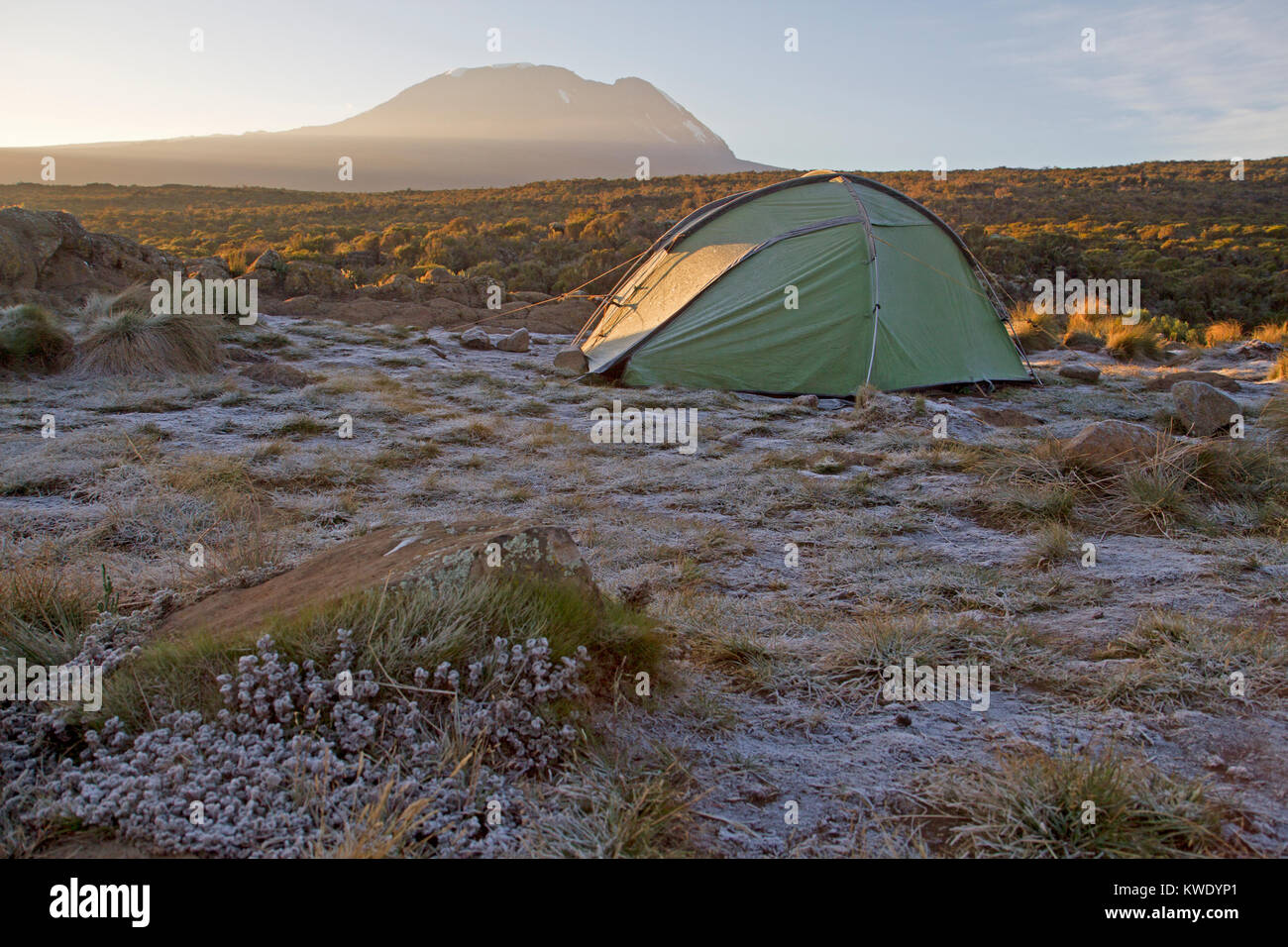 Icy dawn at Shira One camp on Mt Kilimanjaro Stock Photo