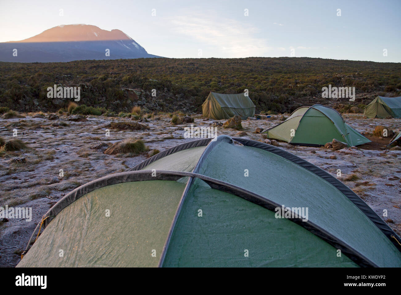 Icy dawn at Shira One camp on Mt Kilimanjaro Stock Photo
