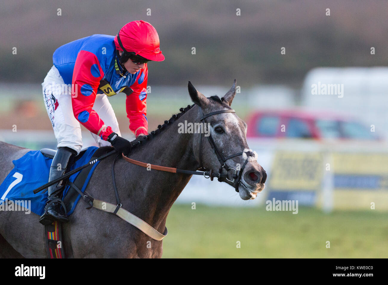 Echo Watt (ridden by Charlie Hammond), winner of the Celtic Energy 'Newcomers' Standard Open National Hunt Flat Race at Ffos Las, Carmarthenshire, Wal Stock Photo