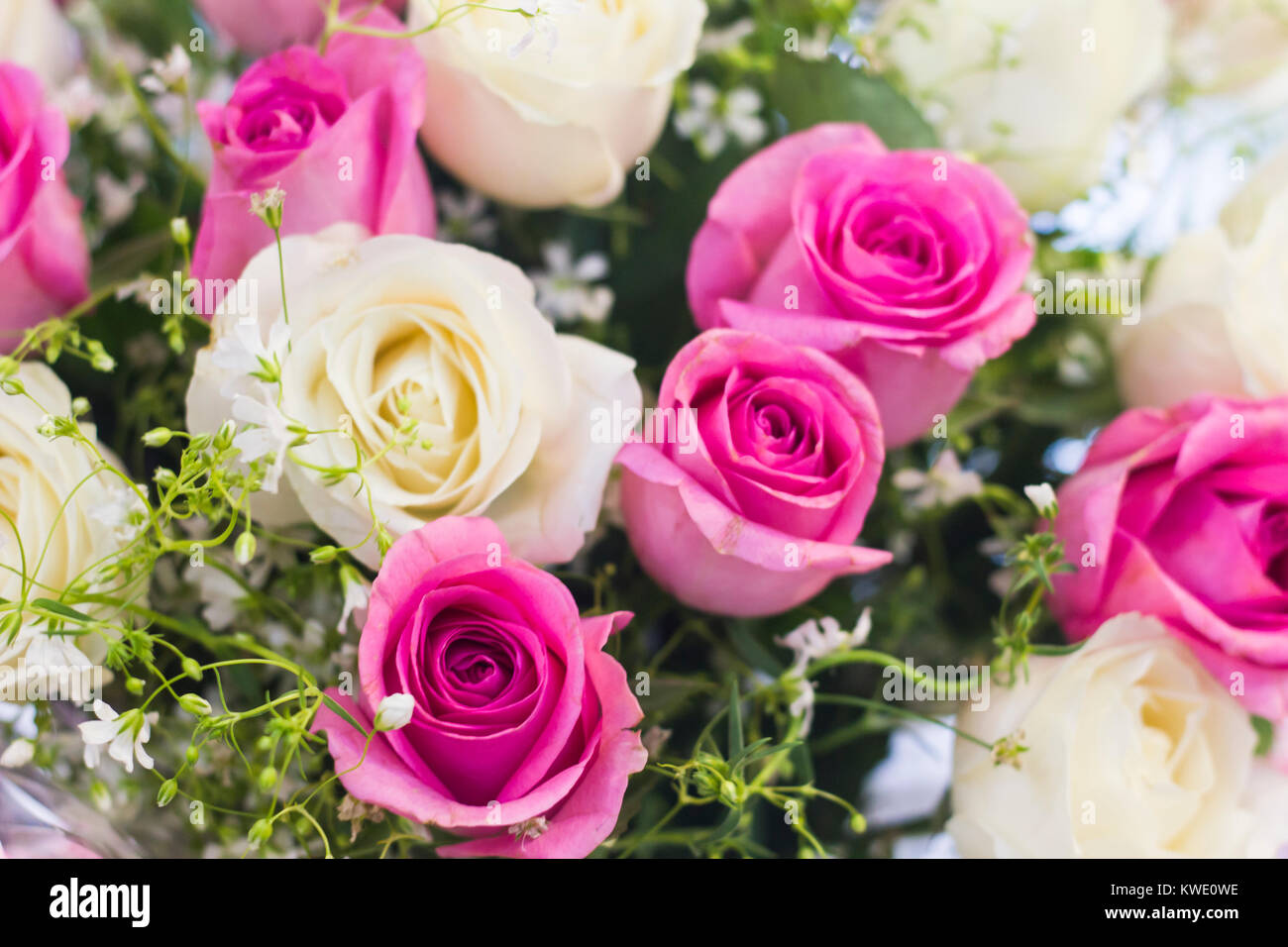 Beautiful bunch of roses Stock Photo Alamy