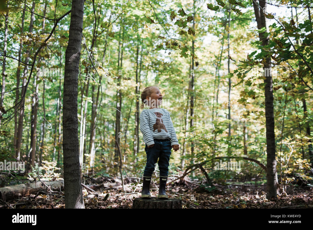 Playful girl shouting while standing on tree stump amidst forest Stock Photo