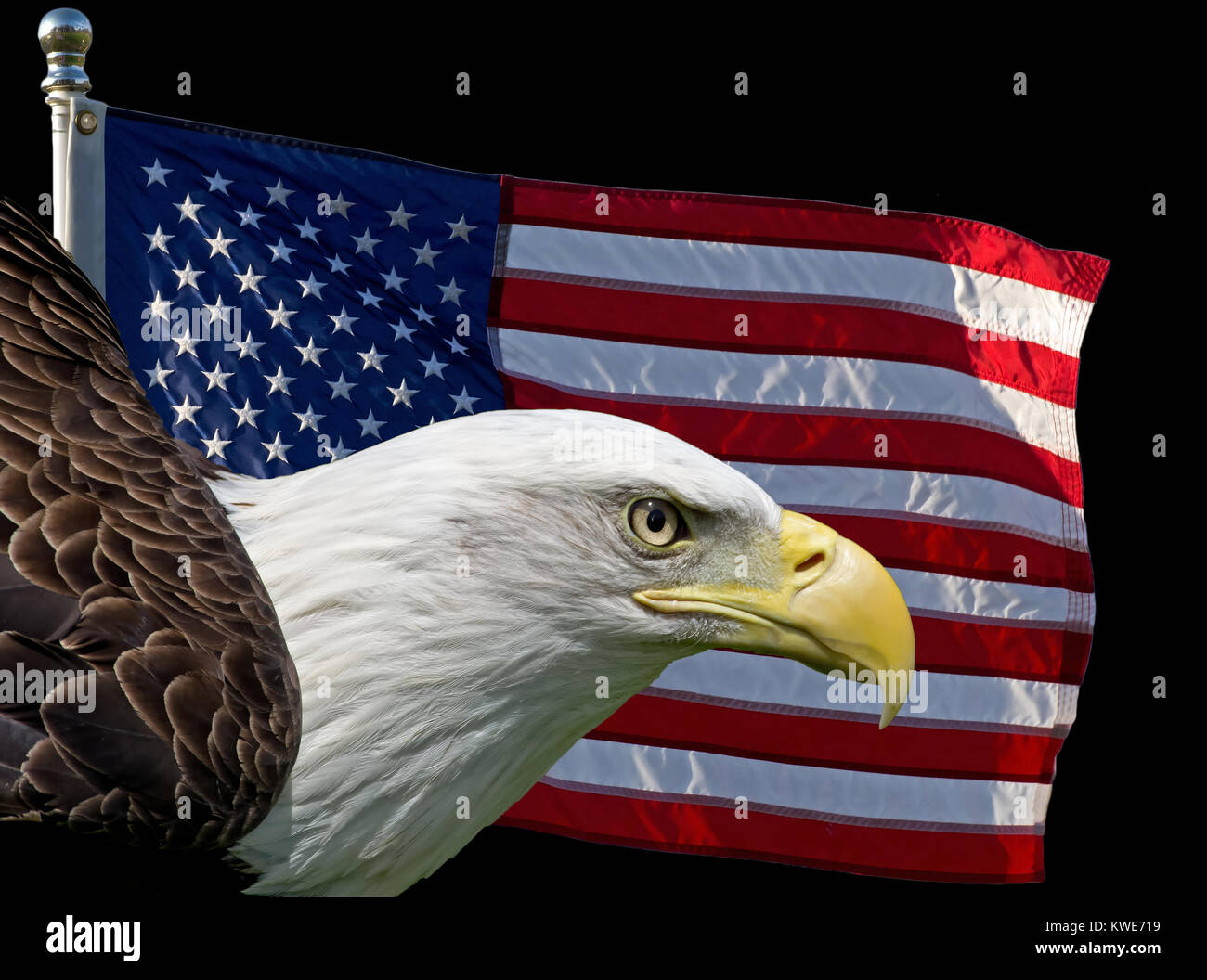 Composite image of two United States symbols the American Flag and the Bald Eagle. Stock Photo