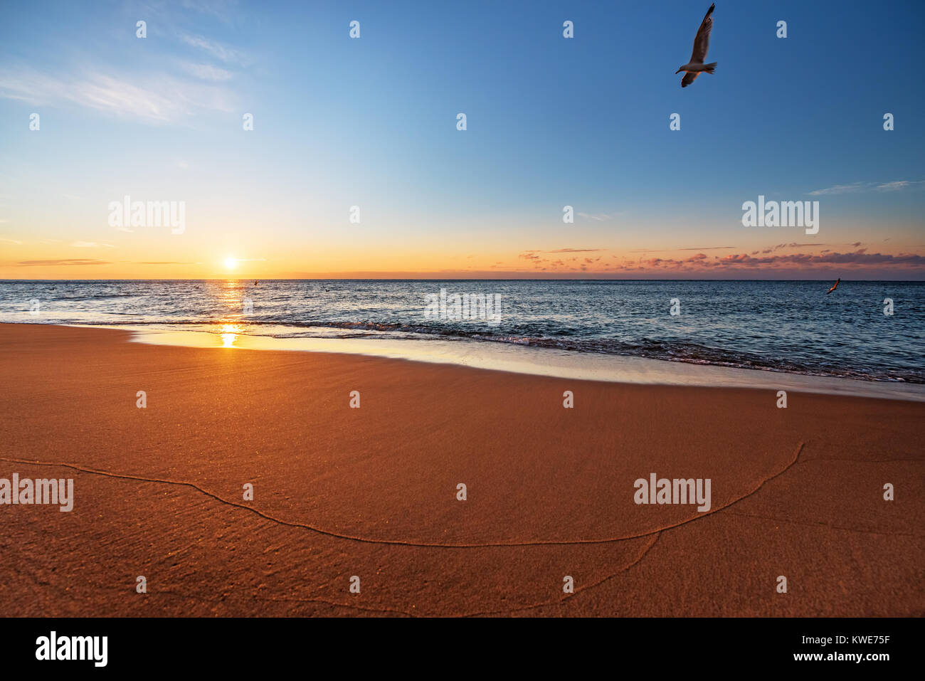 Beautiful tropical sunrise on the beach Stock Photo - Alamy