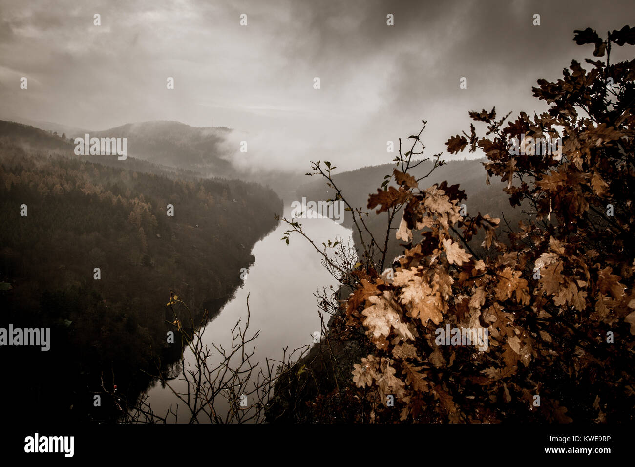 autumn wild landscape with mist Stock Photo