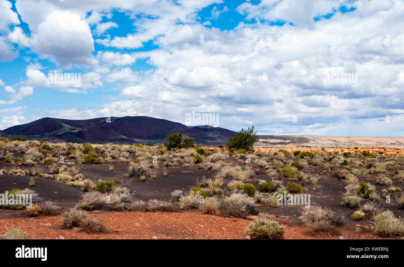 Painted Desert Arizona, Desert Landscape, Sunset Crater Scenic Drive