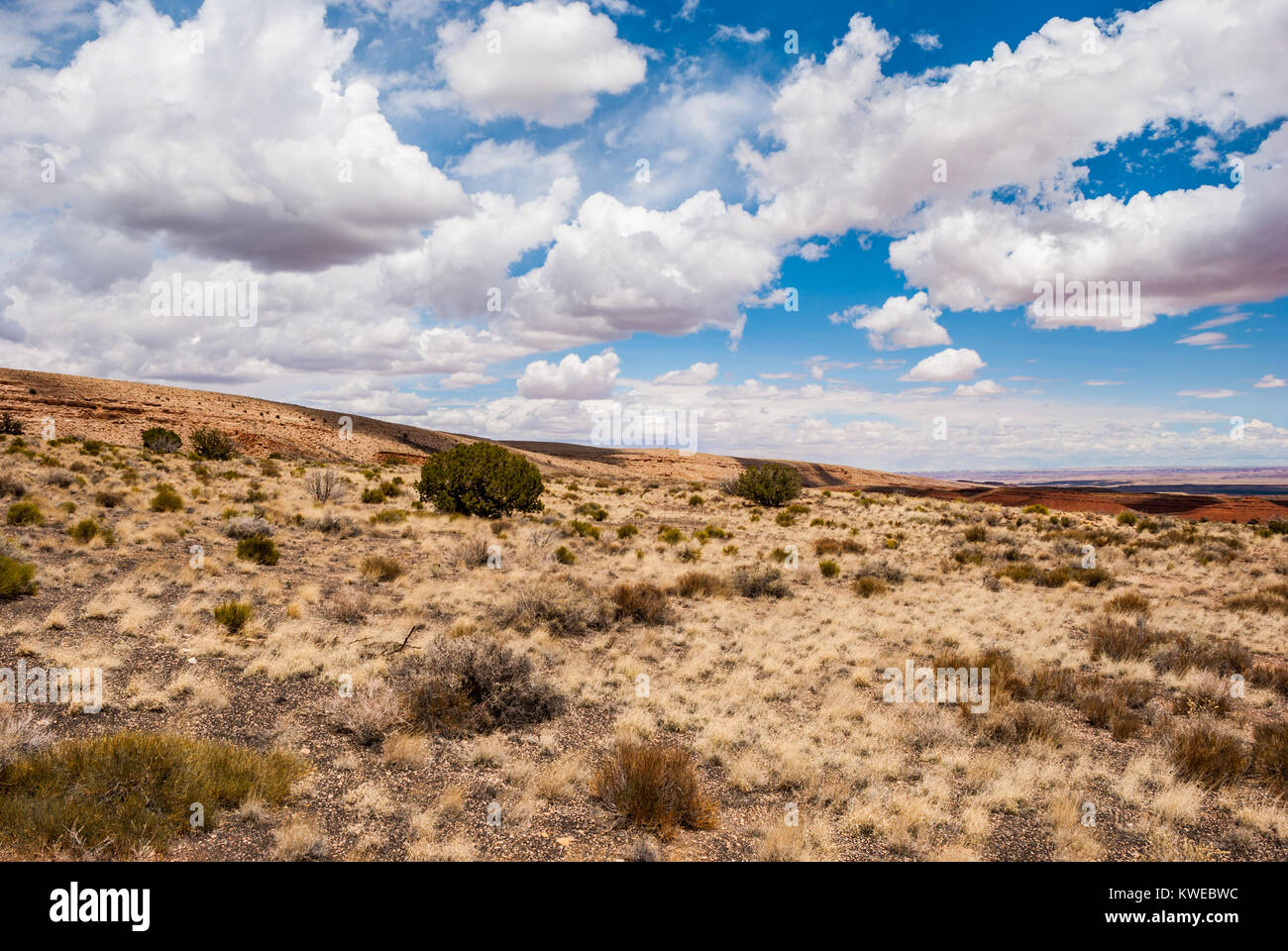 The Painted Desert Arizona, Sunset Crater Scenic Drive Stock Photo Alamy