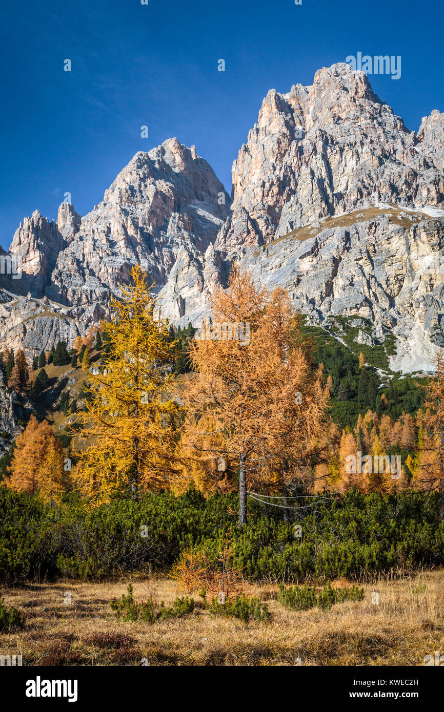 The Dolomite Alps with fall foliage color near Auronzo di Cadore, Misurina, Belluno, Italy, Europe. Stock Photo