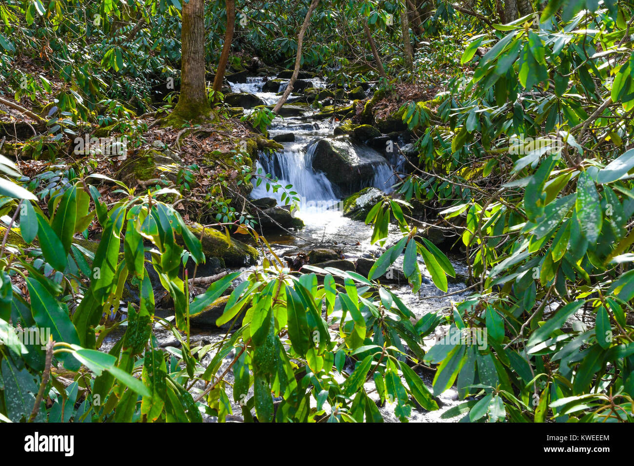 A beautiful water fall in Cherokee North Carolina Stock Photo Alamy