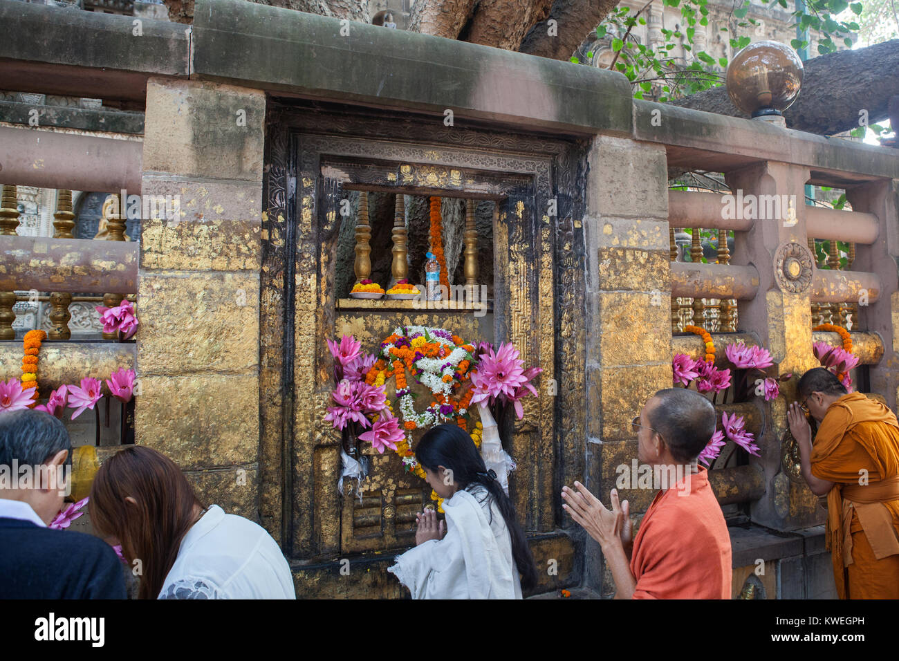 Pilgrims pray at the shrine next to the Bodhi tree (where the Buddha is said to have gained enlightenment) at the Mahabodhi Temple in Bodhgaya, India Stock Photo
