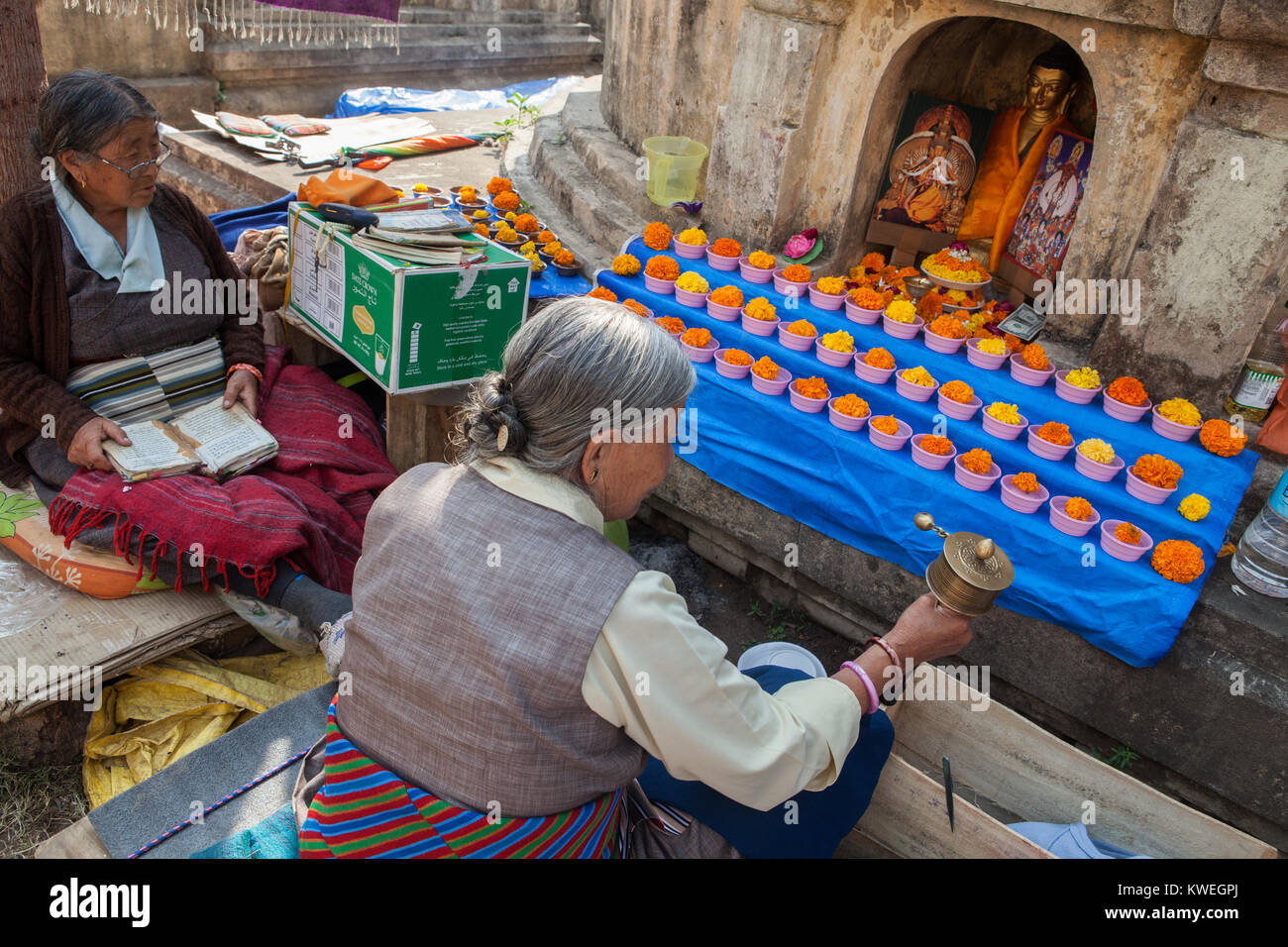 A pilgrim from Tibet spins a prayer wheel at a shrine with a Buddha, at the Mahabodhi Temple in Bodhgaya, India Stock Photo