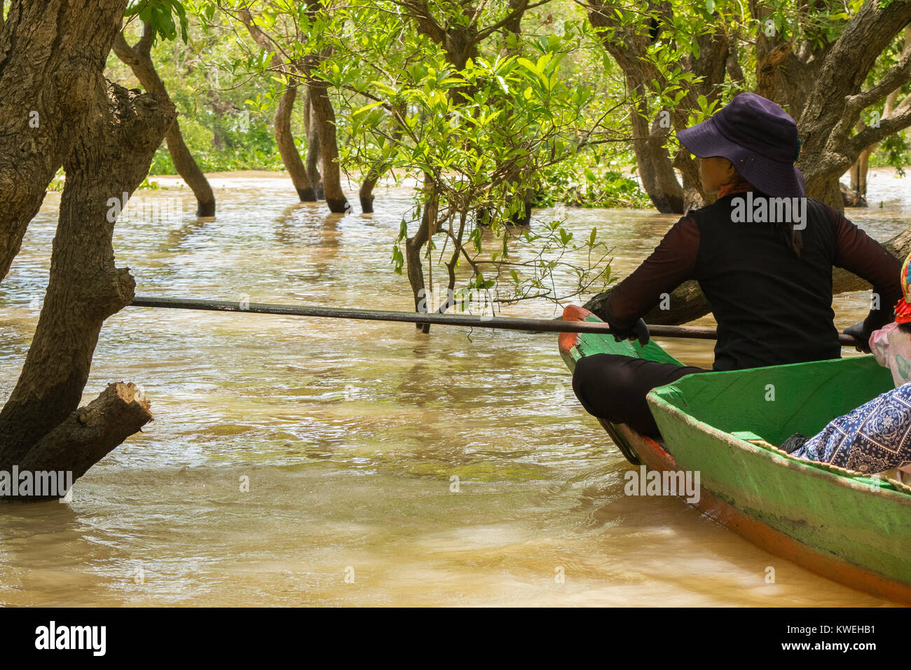 Asian Cambodian woman wearing black and a hat paddling a canoe, exploring floating forest flooded forest in Kampong Phluk, Tonle Sap Lake Cambodia Stock Photo