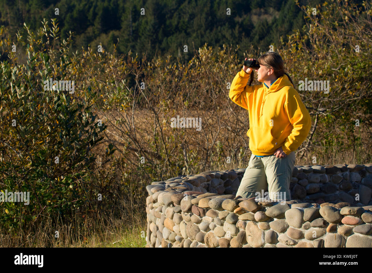 Refuge observation point, Siletz Bay National Wildlife Refuge, Oregon Stock Photo