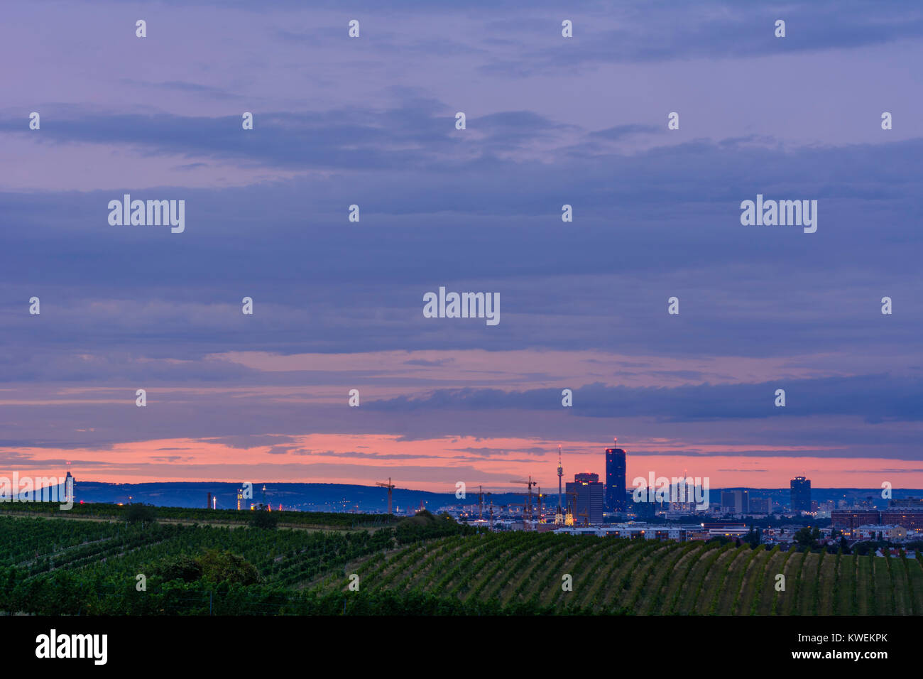 Wien, Vienna vineyard in Oberlaa, Millennium Tower, Donaucity, tower