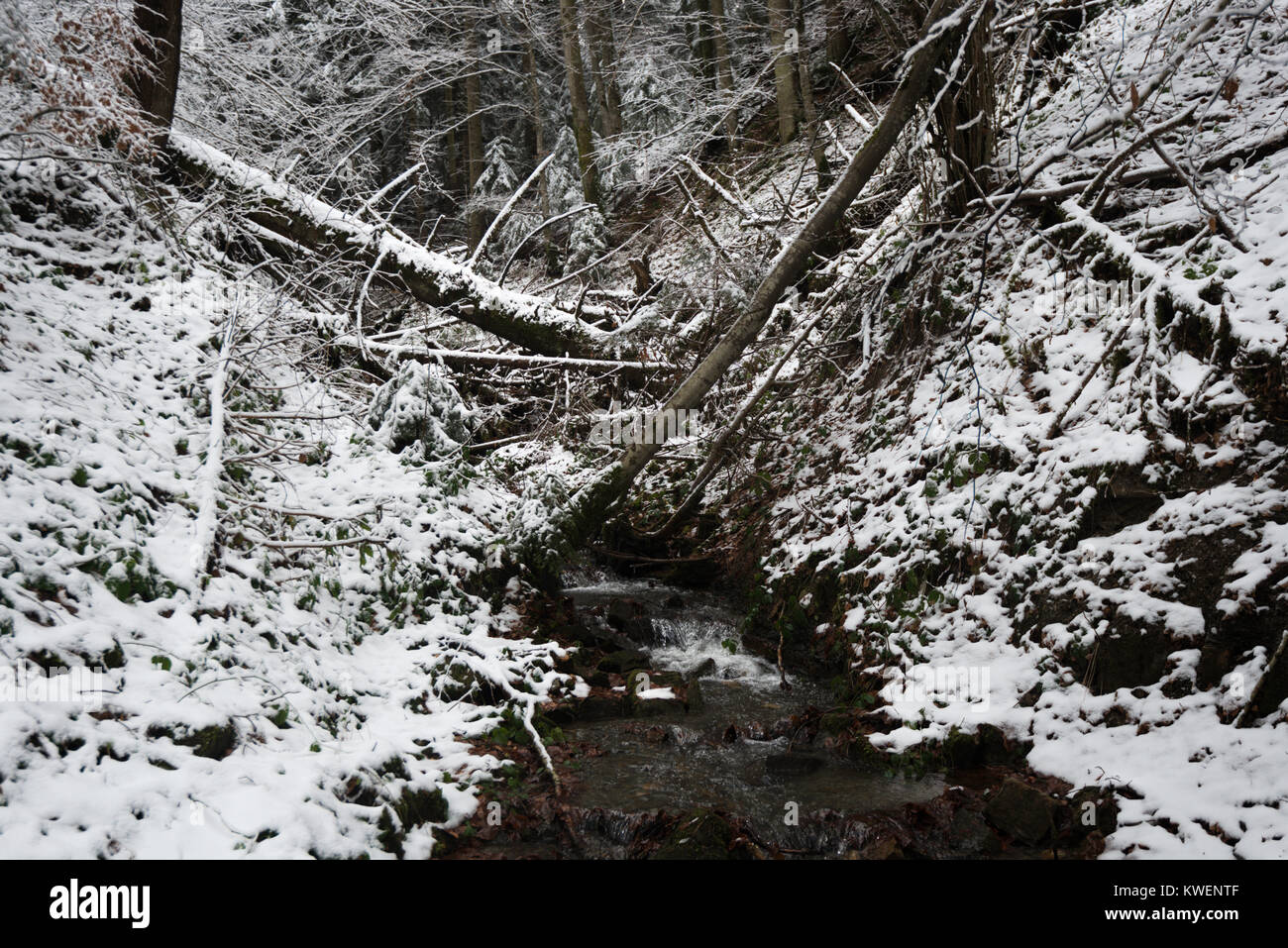 a winter in the Carpathian Mountains Stock Photo