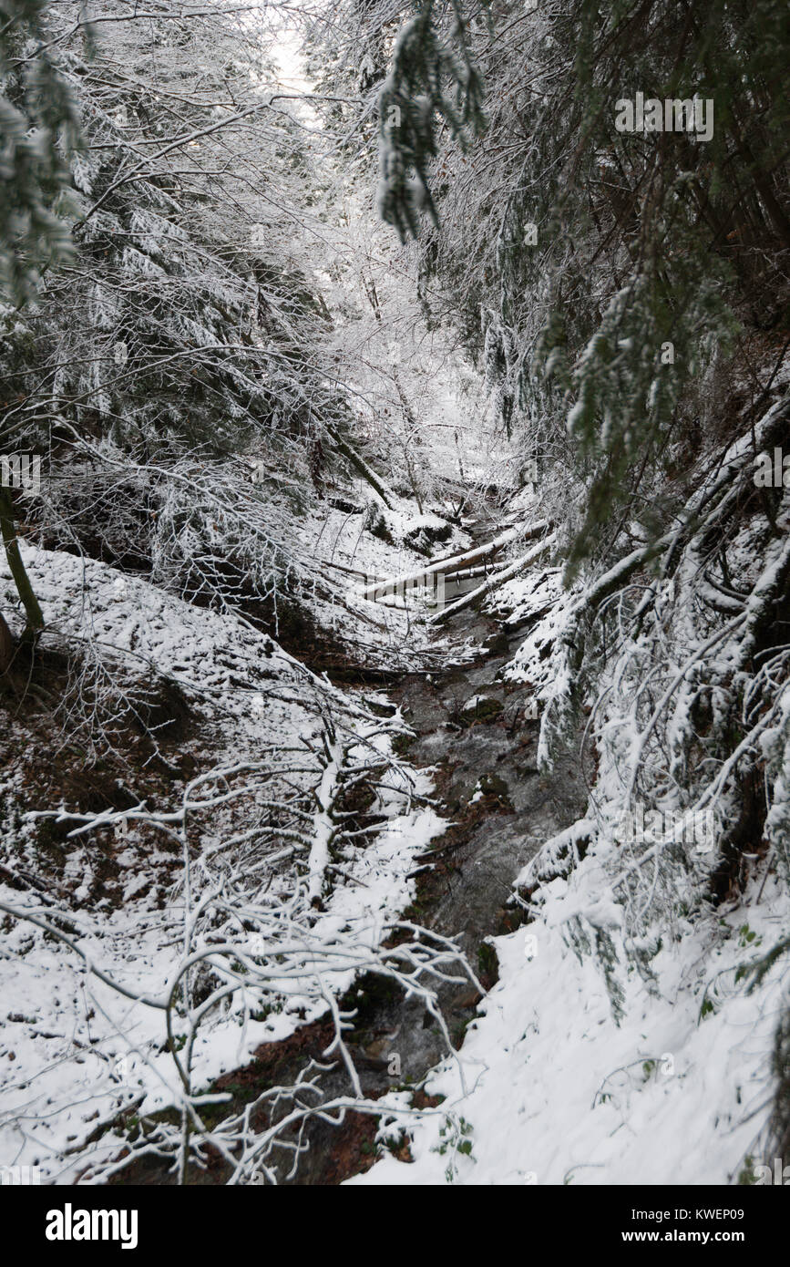 a winter in the Carpathian Mountains Stock Photo