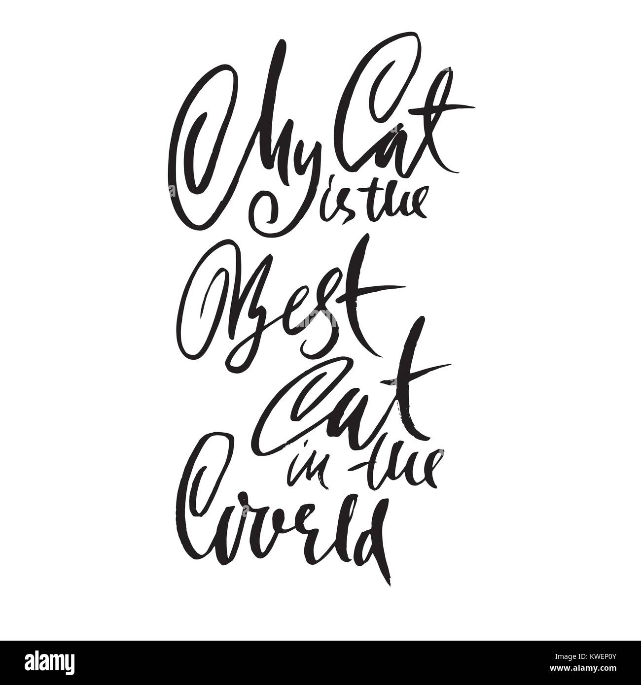 My cat is the best cat in the world. Hand drawn dry brush lettering