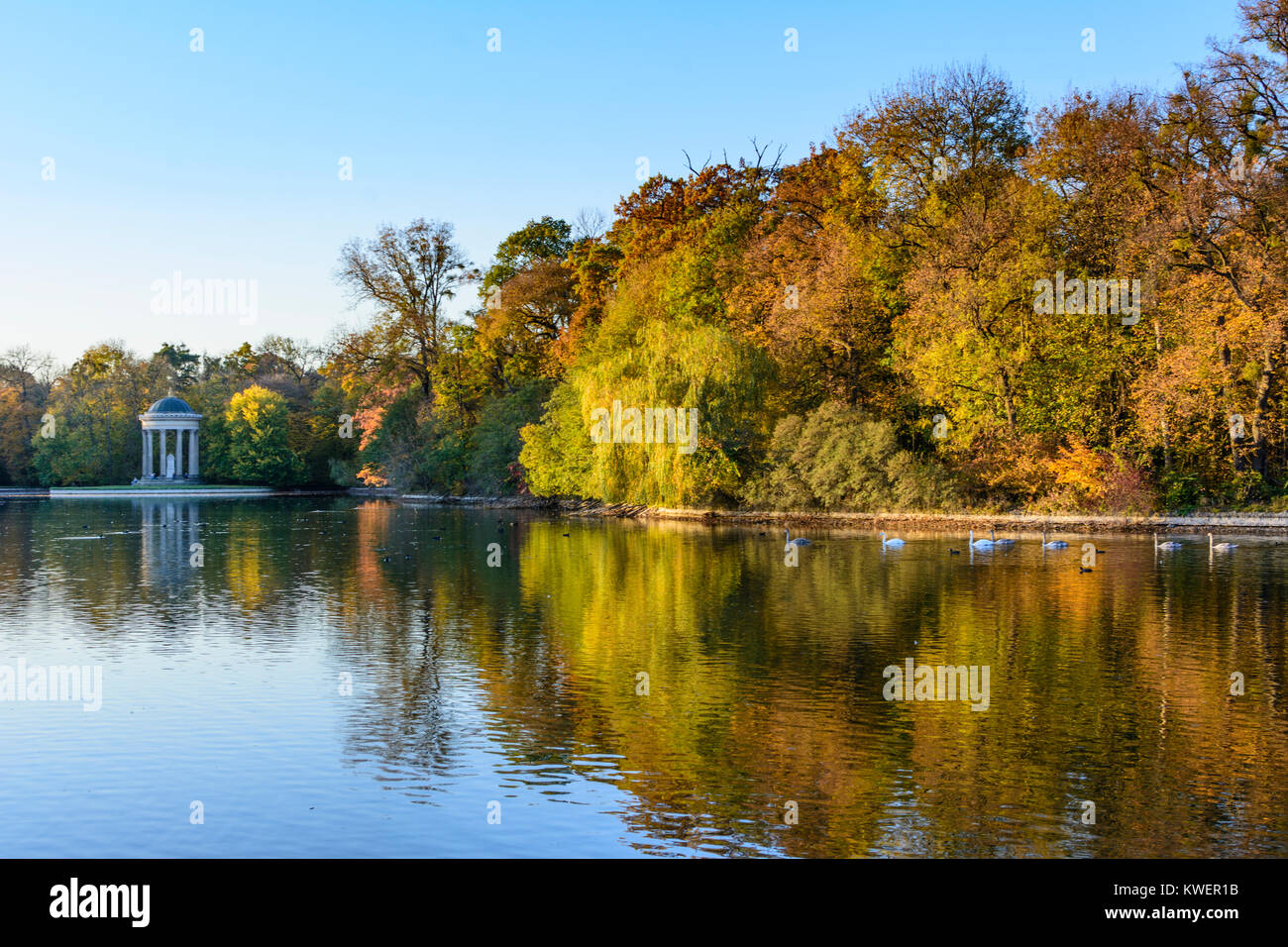 München, Munich: park of Nymphenburg Palace, pond Badenburger See, Monopteros (Apollotempel, Apollotemple), Oberbayern, Upper Bavaria, Bayern, Bavaria Stock Photo