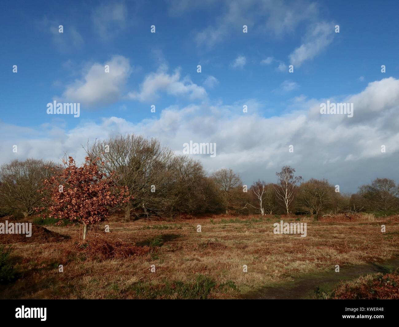 Martlesham heath suffolk hires stock photography and images Alamy