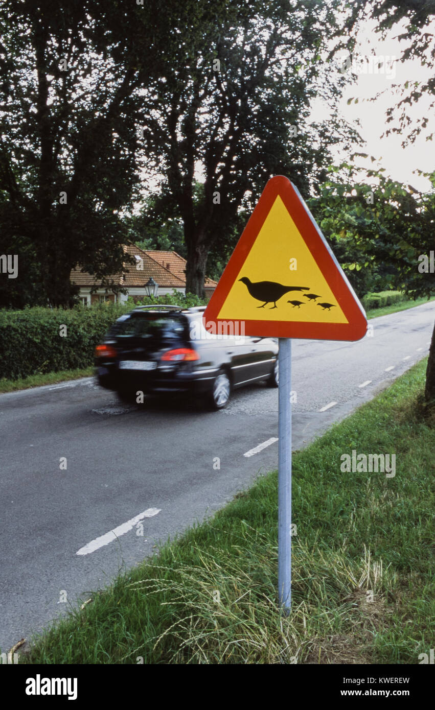 Warning for birds on the road, Skåne, Sweden. Stock Photo
