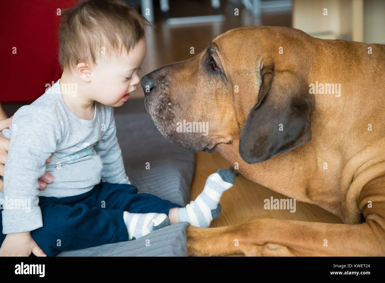 Down syndrome child and dog hi-res stock photography and images - Alamy