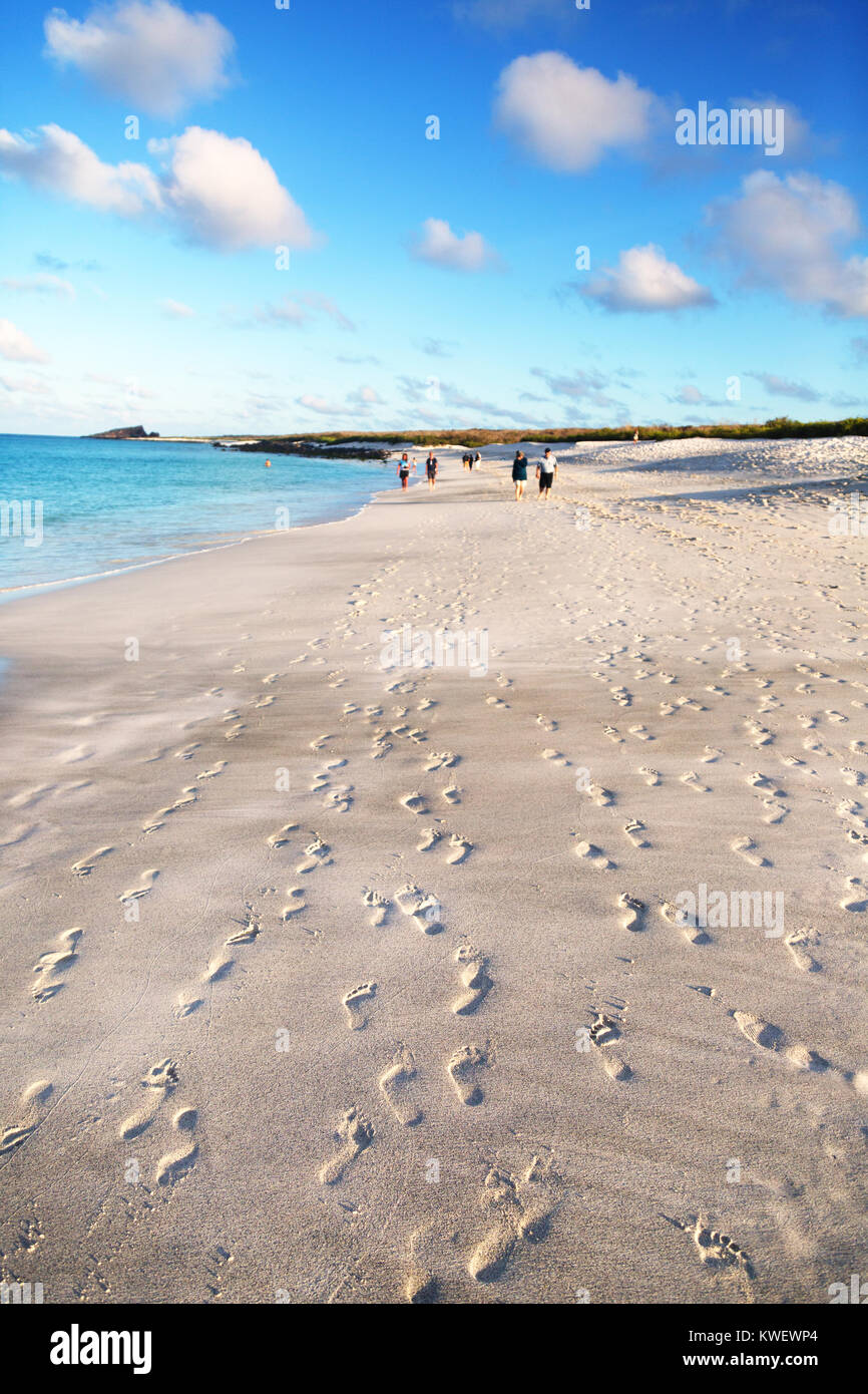 Galapagos beach - Gardner Bay, Espanola Island ( Hood Island ), a long sandy beach, Galapagos Islands, Ecuador South America Stock Photo