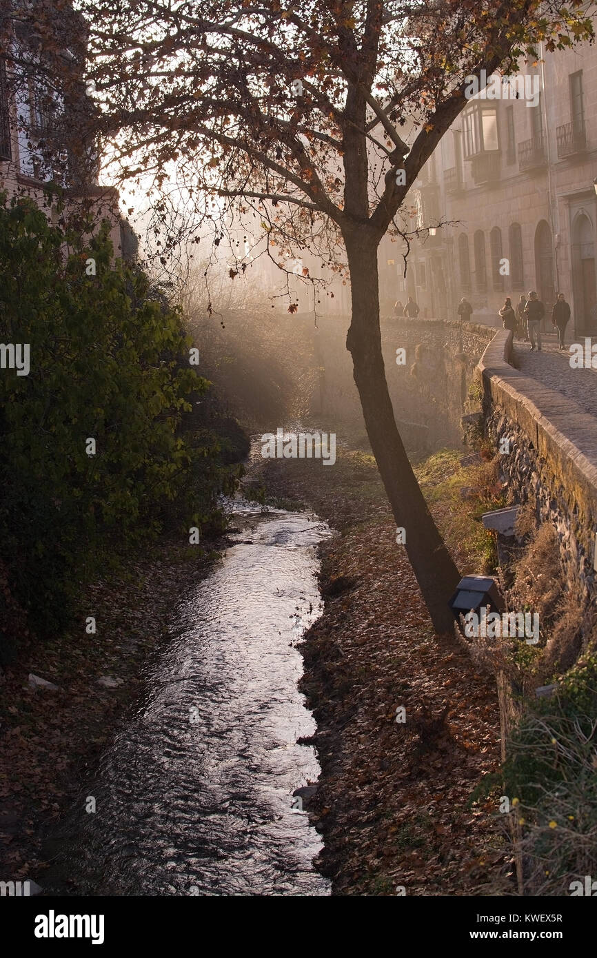 GRANADA, ANDALUCIA, SPAIN - DECEMBER 20, 2017: Tree and river on Carrera del Darro in afternoon sunhaze on December 20, 2017 in Granada, Andalucia, Sp Stock Photo