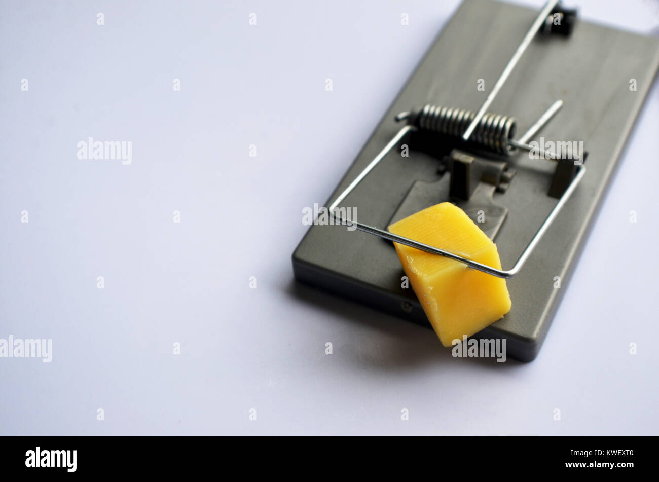 Mouse trap with cheese Stock Photo
