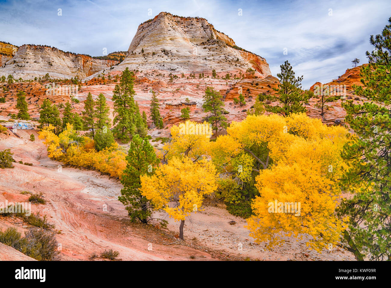 Fall color in Zion National Park, Utah Stock Photo