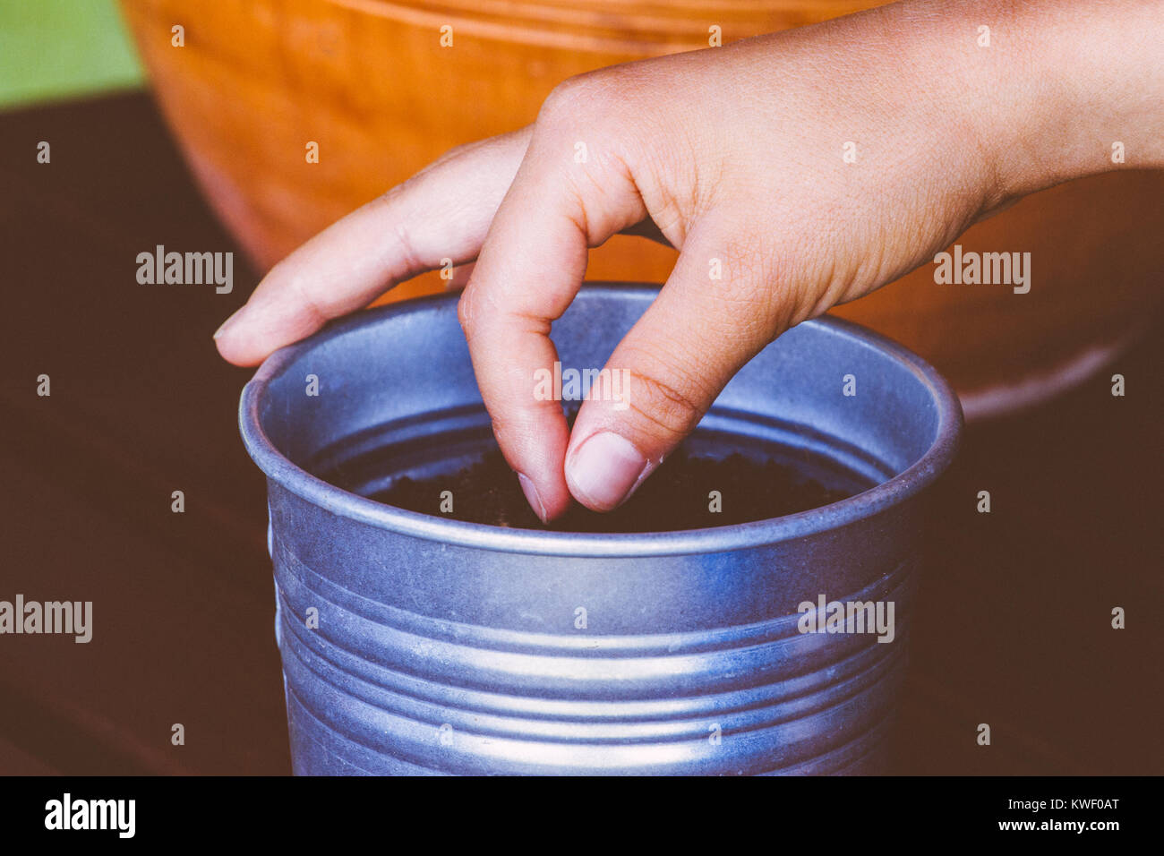 Child hand planting a seed in pot. Stock Photo