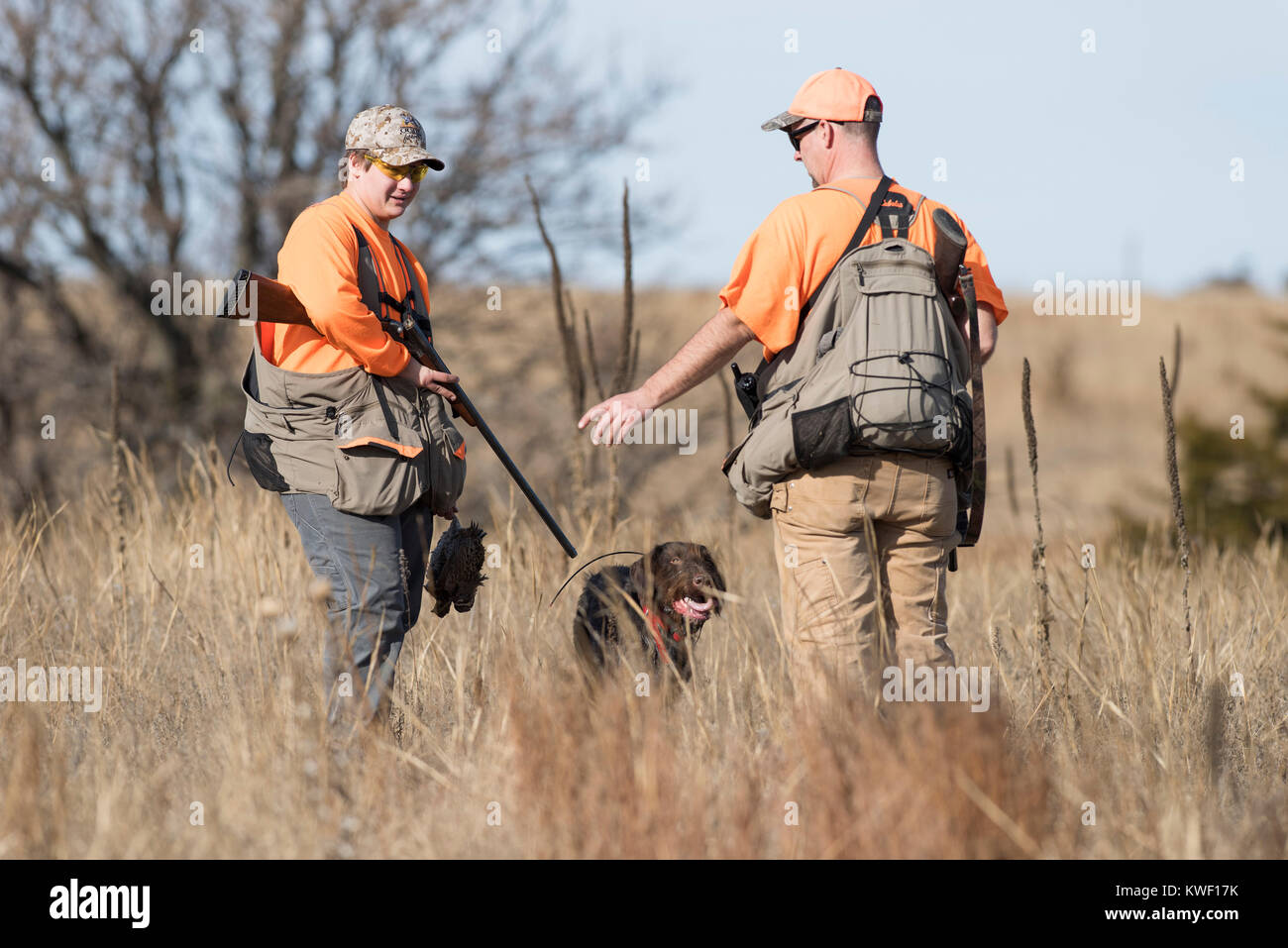 Father and son Quail hunting in Kansas Stock Photo - Alamy