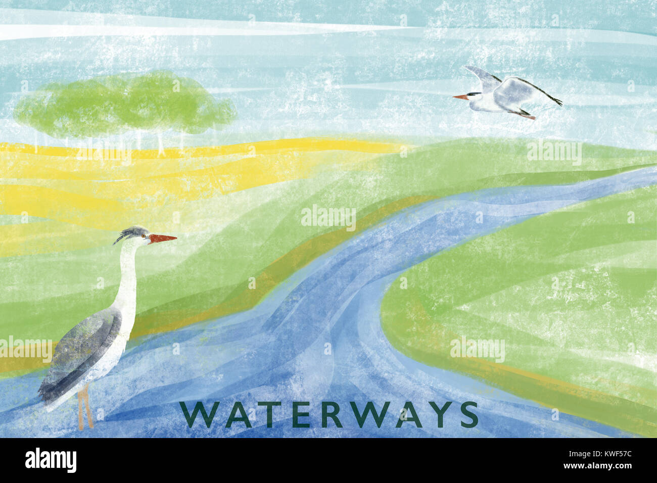 Illustration of a rural waterway with Grey Herons, England, UK Stock Photo