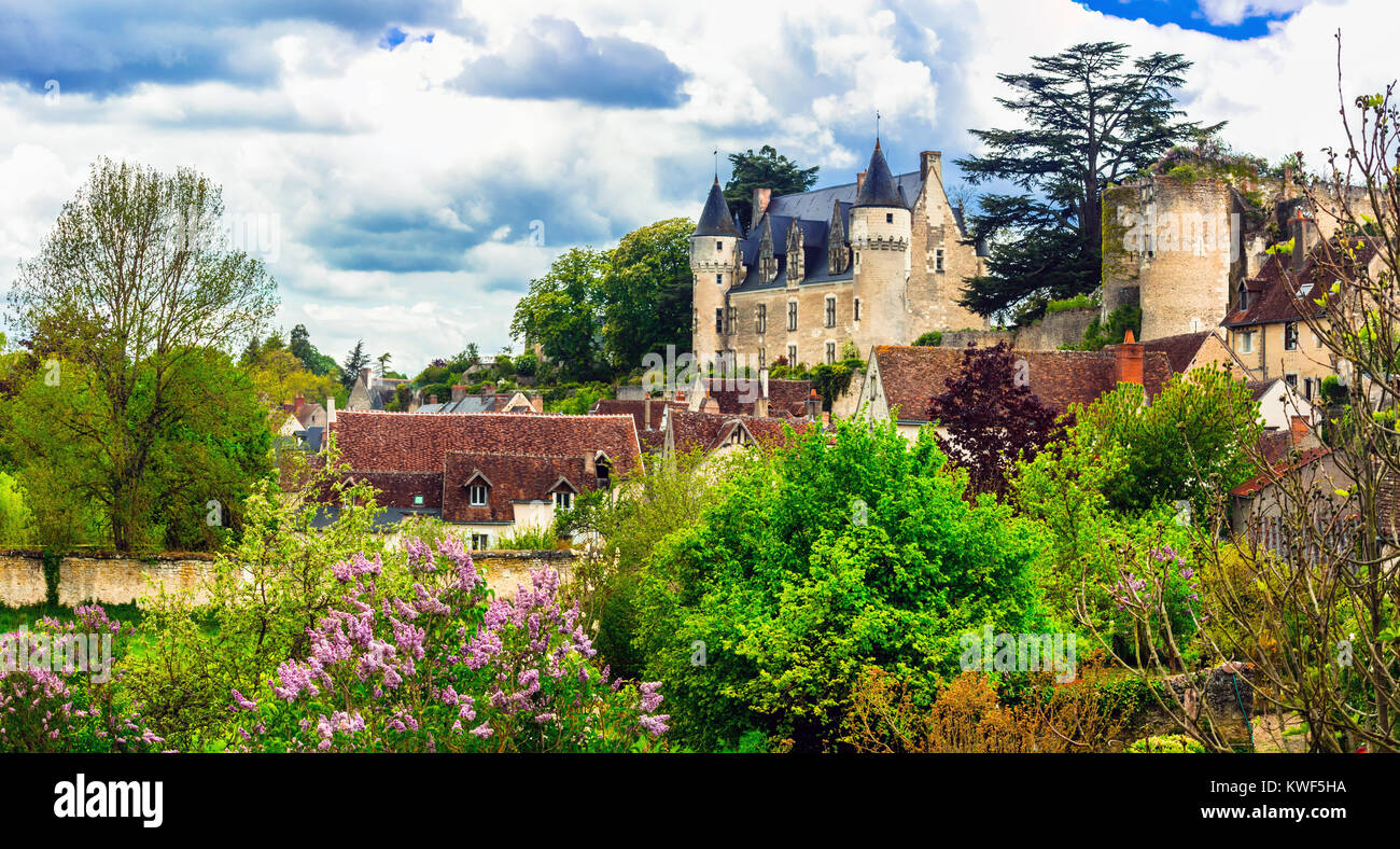Impressive Montresor castle,Loire valley,France. Stock Photo