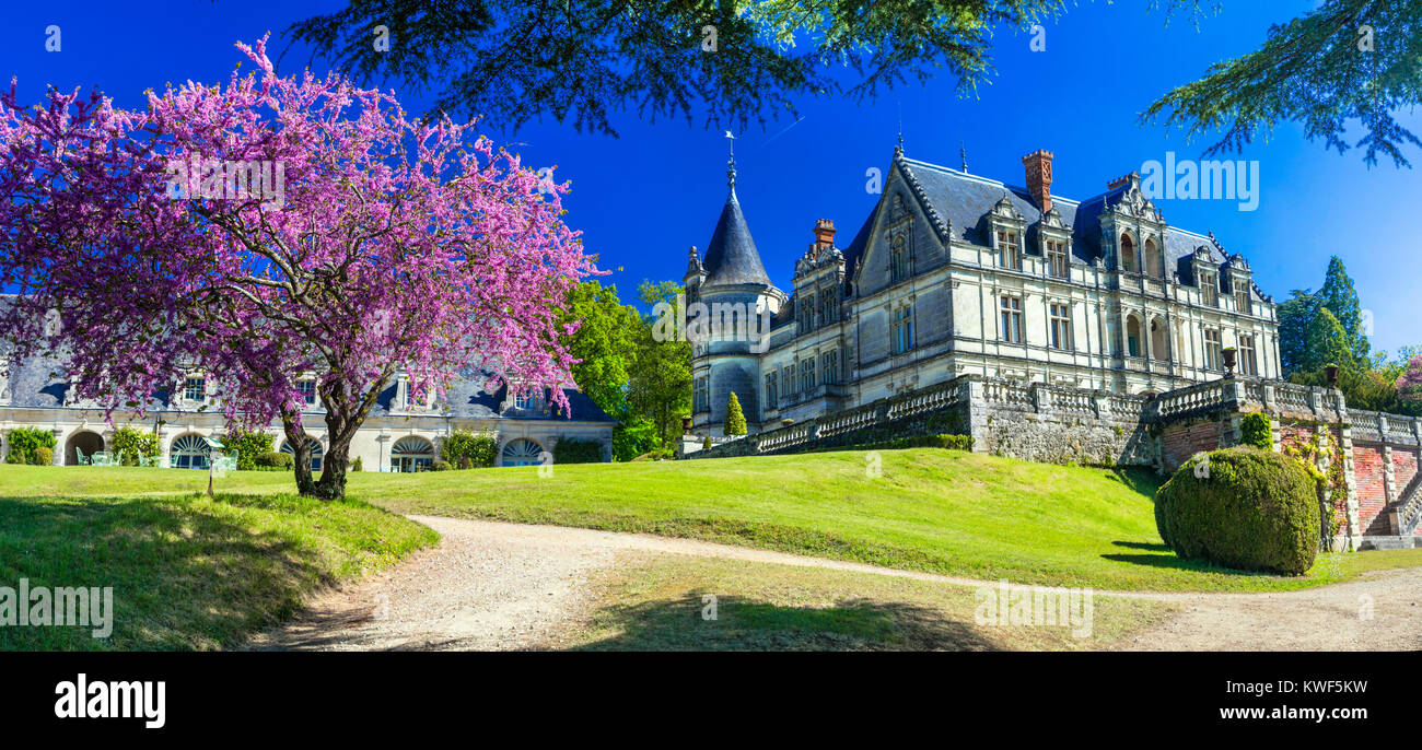 Impressive Chateau de Bourdaisiere,view with beautiful park,Loire valley,France. Stock Photo