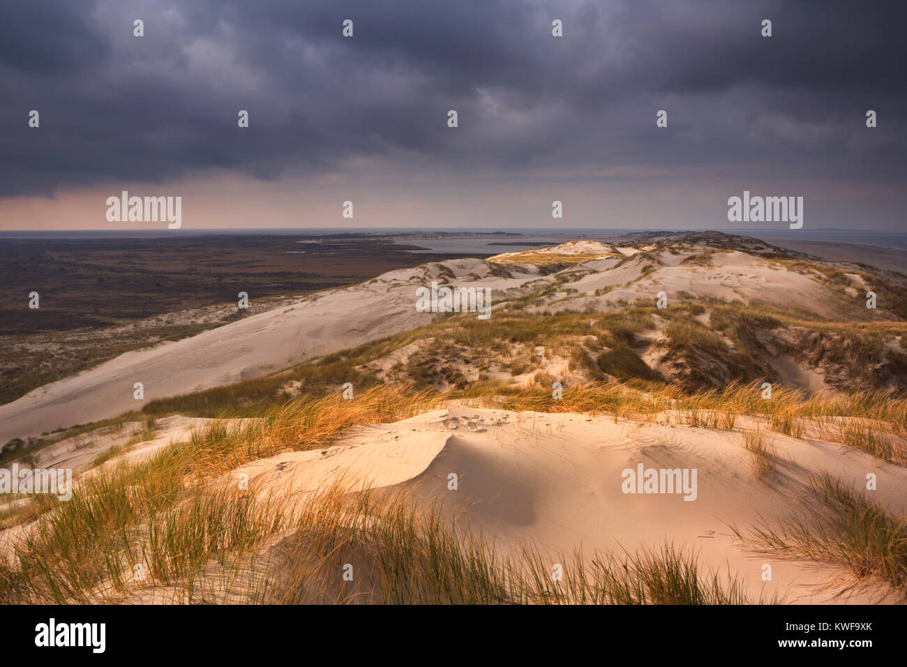 Dark storm clouds over the dunes of the Dutch island Terschelling Stock ...